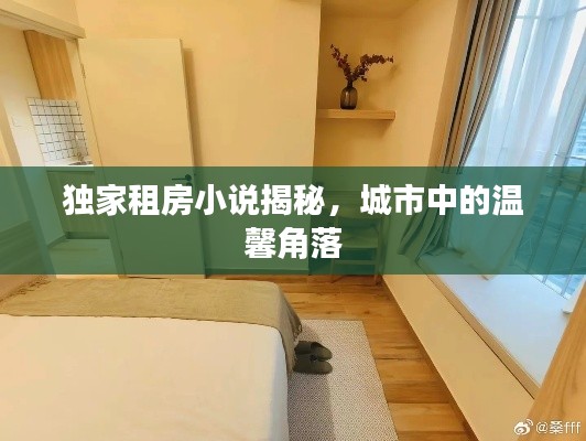 独家租房小说揭秘,城市中的温馨角落