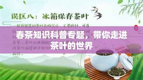 春茶知识科普专题,带你走进茶叶的世界