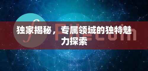 独家揭秘,专属领域的独特魅力探索