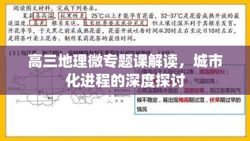 高三地理微专题课解读,城市化进程的深度探讨