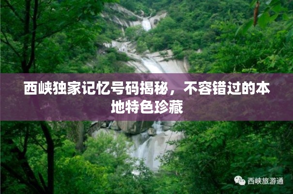 西峡独家记忆号码揭秘，不容错过的本地特色珍藏