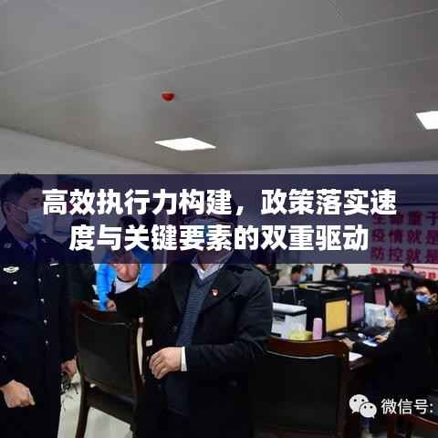 高效执行力构建，政策落实速度与关键要素的双重驱动