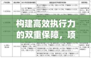 构建高效执行力的双重保障，项项落实，条条整改