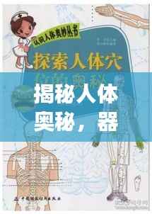 揭秘人体奥秘,器官进化之旅探索之旅