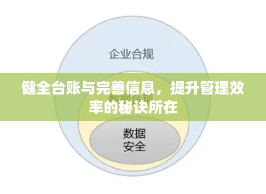 健全台账与完善信息,提升管理效率的秘诀所在