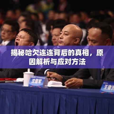 揭秘哈欠连连背后的真相，原因解析与应对方法