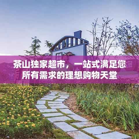 茶山独家超市,一站式满足您所有需求的理想购物天堂