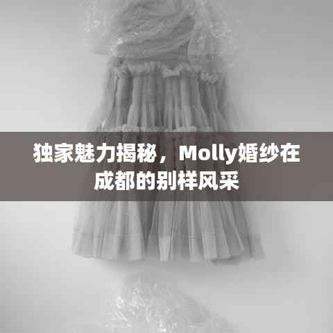 独家魅力揭秘,Molly婚纱在成都的别样风采