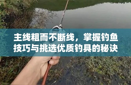 主线粗而不断线,掌握钓鱼技巧与挑选优质钓具的秘诀