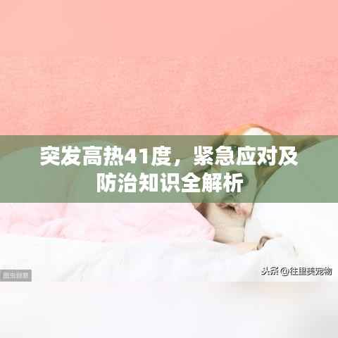 突发高热41度,紧急应对及防治知识全解析