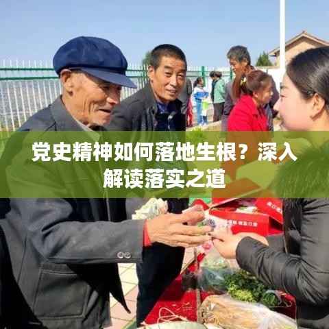 党史精神如何落地生根?深入解读落实之道