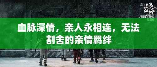 血脉深情,亲人永相连,无法割舍的亲情羁绊