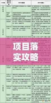 项目落实攻略,关键步骤与策略全解析!