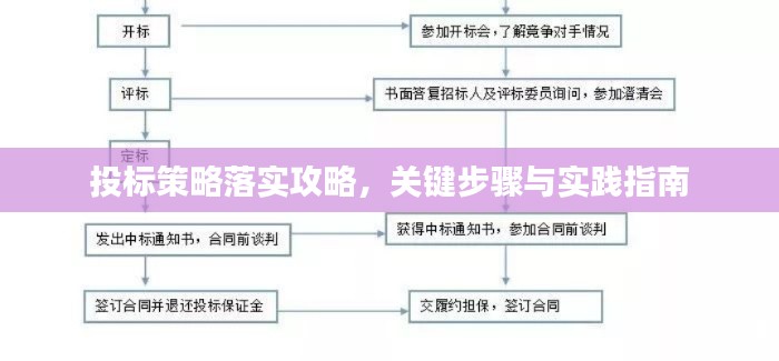 投标策略落实攻略,关键步骤与实践指南