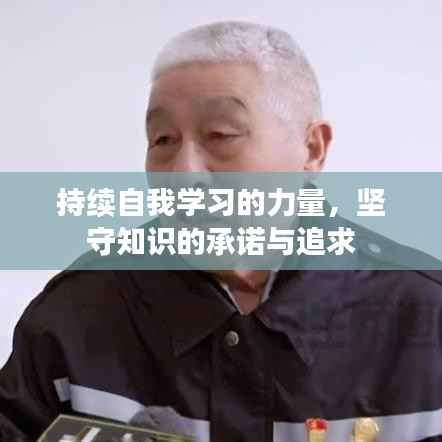 持续自我学习的力量，坚守知识的承诺与追求