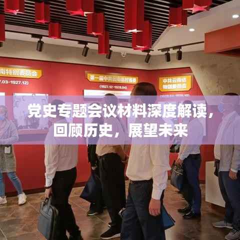 党史专题会议材料深度解读,回顾历史,展望未来