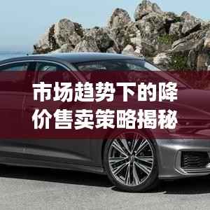 市场趋势下的降价售卖策略揭秘！