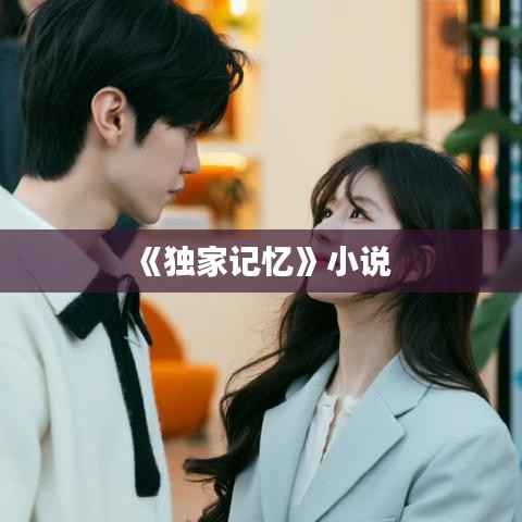 《独家记忆》小说