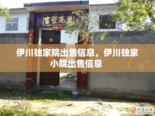 伊川独家院出售信息,伊川独家小院出售信息