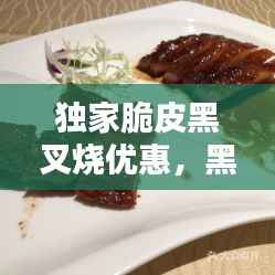 独家脆皮黑叉烧优惠,黑叉烧配方斤两