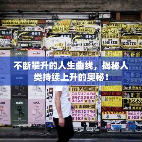 不断攀升的人生曲线，揭秘人类持续上升的奥秘！