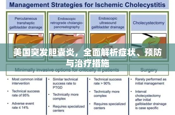 美国突发胆囊炎,全面解析症状、预防与治疗措施