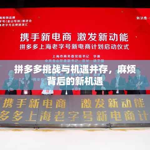 拼多多挑战与机遇并存，麻烦背后的新机遇