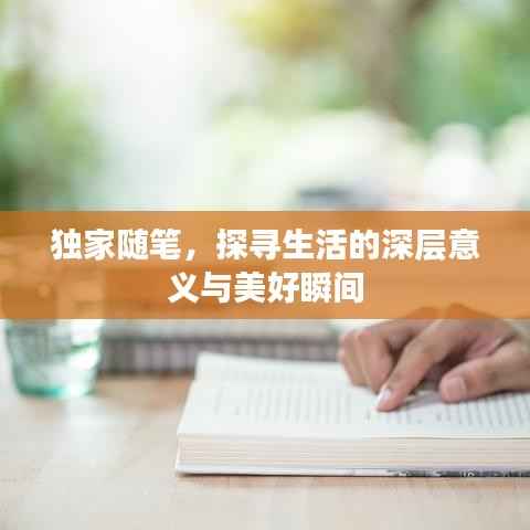 独家随笔,探寻生活的深层意义与美好瞬间
