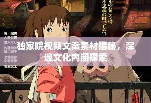 独家院视频文案素材揭秘，深邃文化内涵探索
