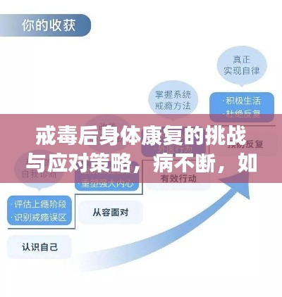 戒毒后身体康复的挑战与应对策略，病不断，如何应对？