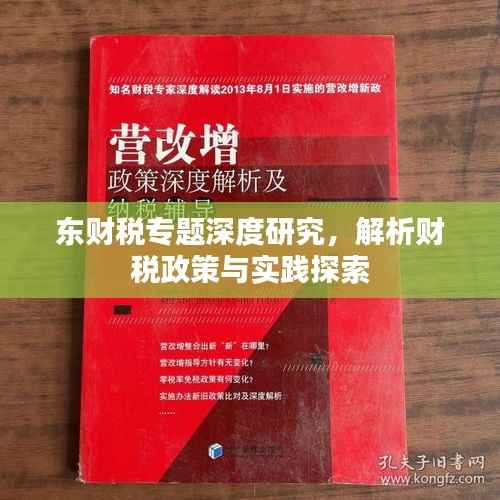 东财税专题深度研究,解析财税政策与实践探索