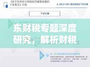 东财税专题深度研究,解析财税政策与实践探索