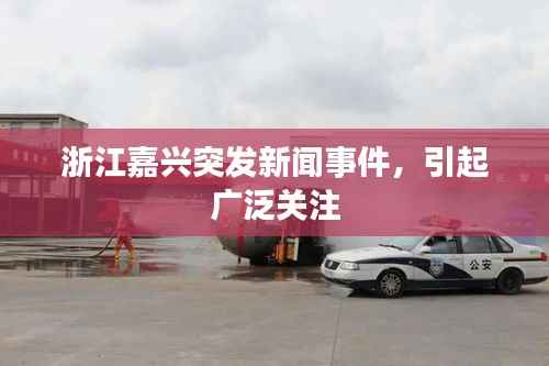 浙江嘉兴突发新闻事件，引起广泛关注