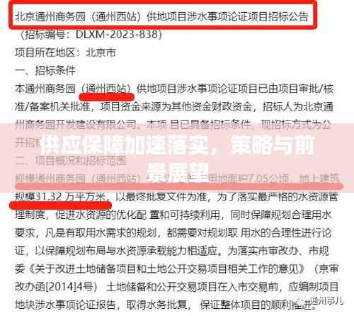 供应保障加速落实,策略与前景展望