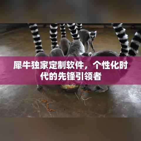 犀牛独家定制软件,个性化时代的先锋引领者