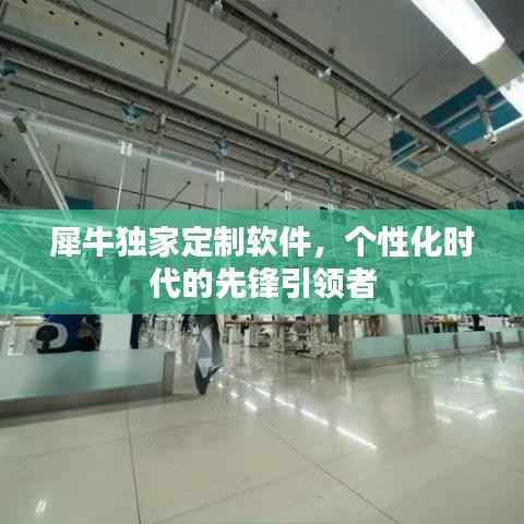 犀牛独家定制软件,个性化时代的先锋引领者