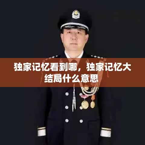 独家记忆看到哪,独家记忆大结局什么意思