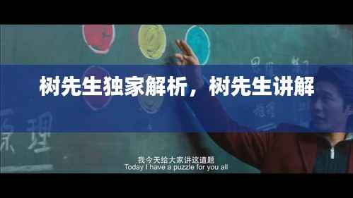 树先生独家解析,树先生讲解