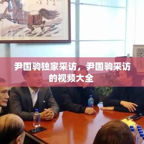 尹国驹独家采访,尹国驹采访的视频大全