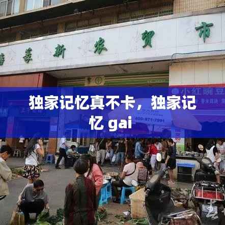 独家记忆真不卡,独家记忆 gai
