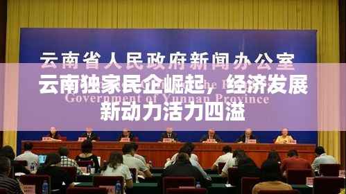 云南独家民企崛起,经济发展新动力活力四溢