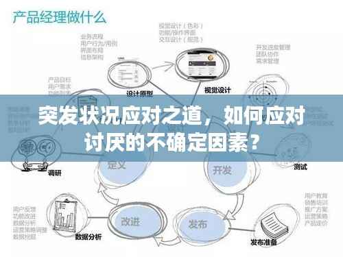 突发状况应对之道,如何应对讨厌的不确定因素?