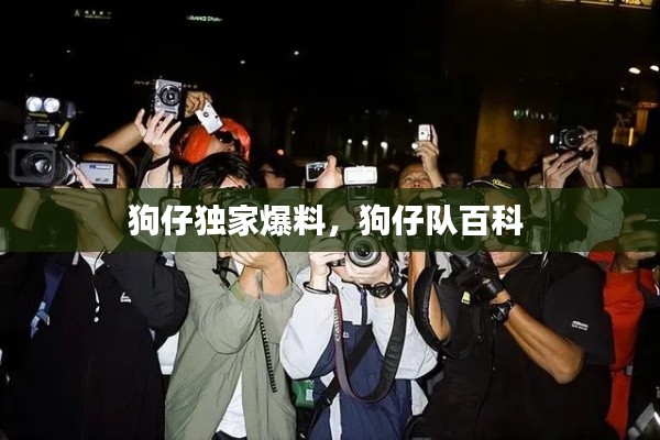 狗仔独家爆料,狗仔队百科