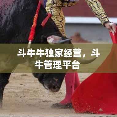 斗牛牛独家经营,斗牛管理平台