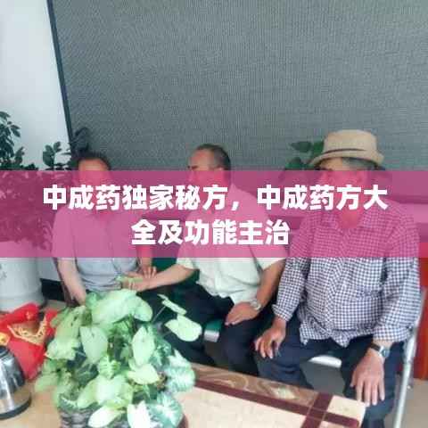 中成药独家秘方，中成药方大全及功能主治 