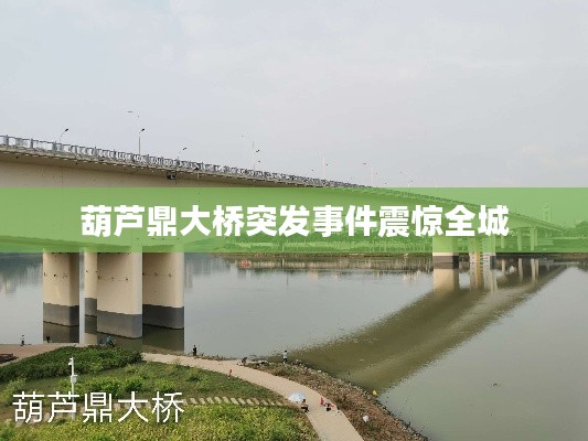 葫芦鼎大桥突发事件震惊全城