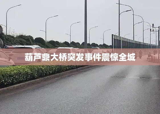 葫芦鼎大桥突发事件震惊全城