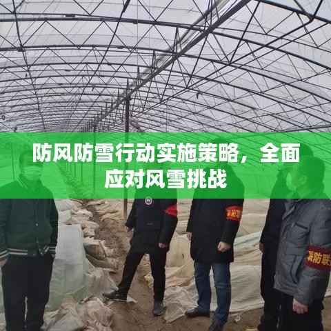 防风防雪行动实施策略,全面应对风雪挑战