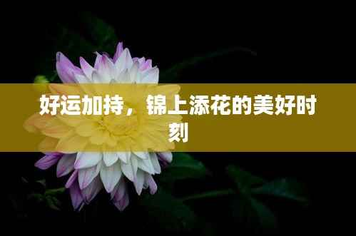好运加持,锦上添花的美好时刻