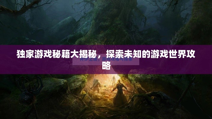 独家游戏秘籍大揭秘，探索未知的游戏世界攻略
